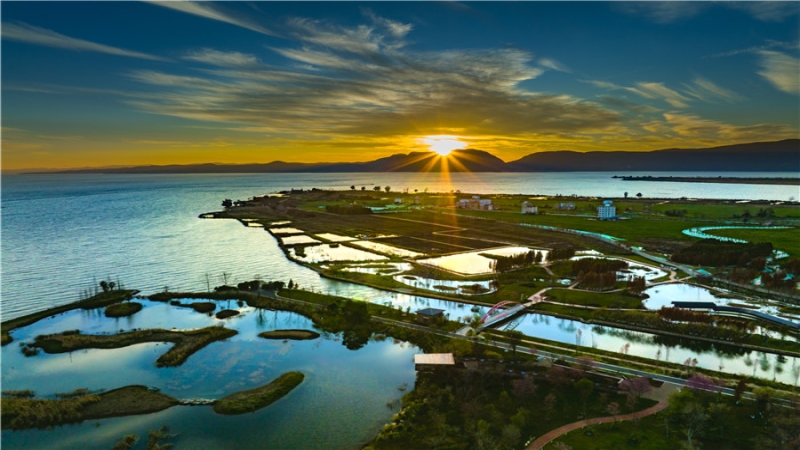 寶豐半島濕地建設(shè)項目彰顯中機智慧