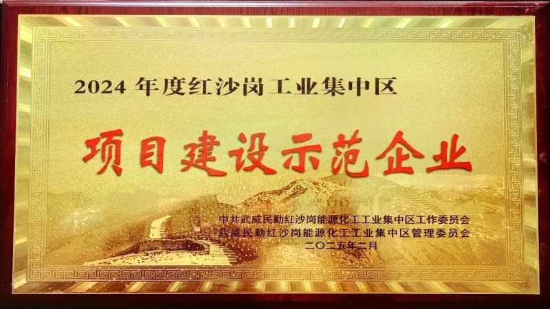 高效履約樹標(biāo)桿！中機(jī)國(guó)際被評(píng)為民勤紅沙崗工業(yè)區(qū) “2024年度項(xiàng)目建設(shè)示范企業(yè)”