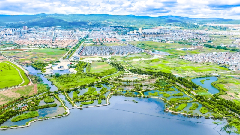 紅線守護碧波漾 重塑湖濱呼吸之美 ——星云湖南岸濕地、湖濱帶提質改造工程