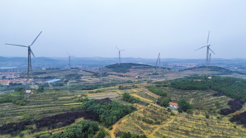 以大代小，青島大橋風(fēng)場(chǎng)改造的“煥新密碼”
