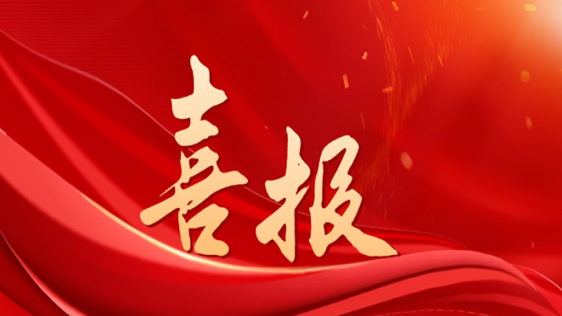 喜報！中機國際獲評中央企業(yè)“雙百行動”優(yōu)秀企業(yè)